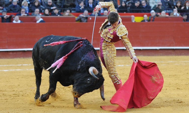 Las siete mentiras de los antitaurinos sobre las corridas de toros