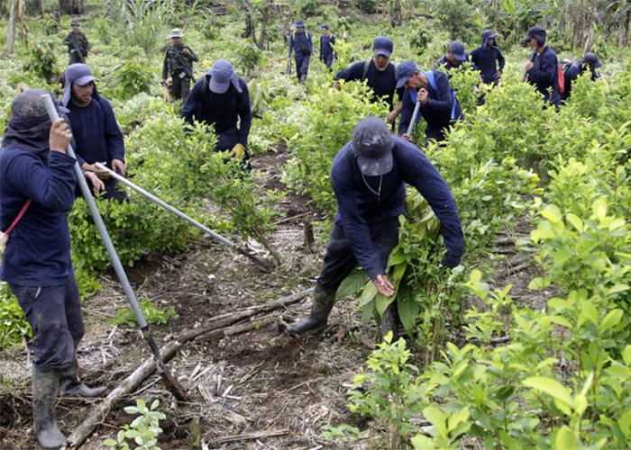 Sustitución en la región Andino Amazónica