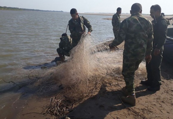 En Orocué pescadores mataron dos delfines para sacarles el aceite