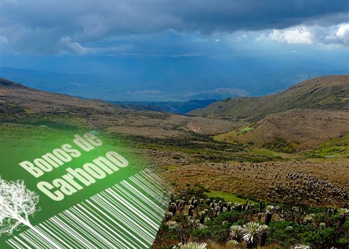 Colombia venderá bonos de carbono de los páramos a países industrializados
