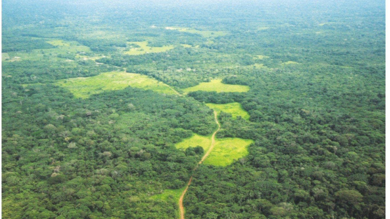 Se conforma la región administrativa y de planificación de la Amazonía