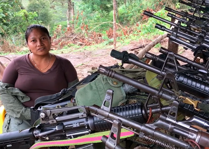 Video: El reposo de los fusiles