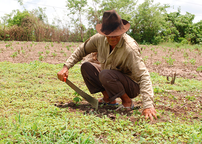 ¿Rivalizan las Zidres con la Reforma Rural Integral?