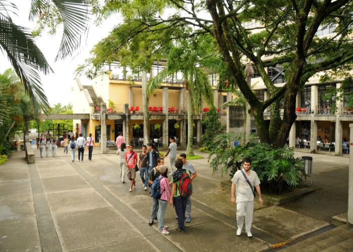 No hay excusas para la razón apasionada: sobre el caso Murgueitio