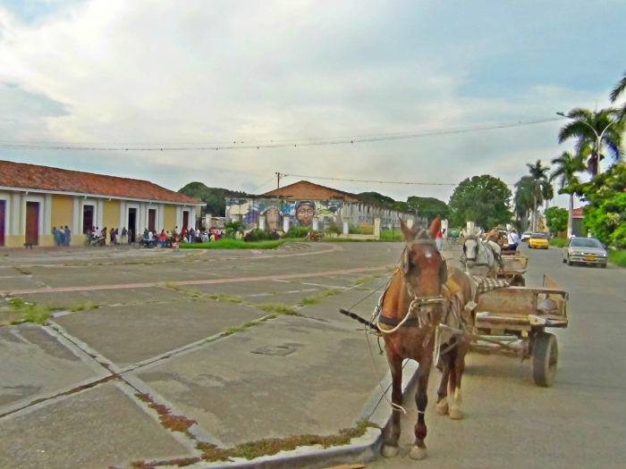  - El sueño de los animales en Buga: inicia proceso de sustitución de vehículos de tracción animal