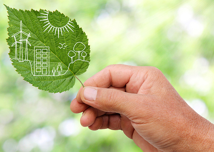 La Universidad del Bosque quiere convertir a Bogotá en un jardín