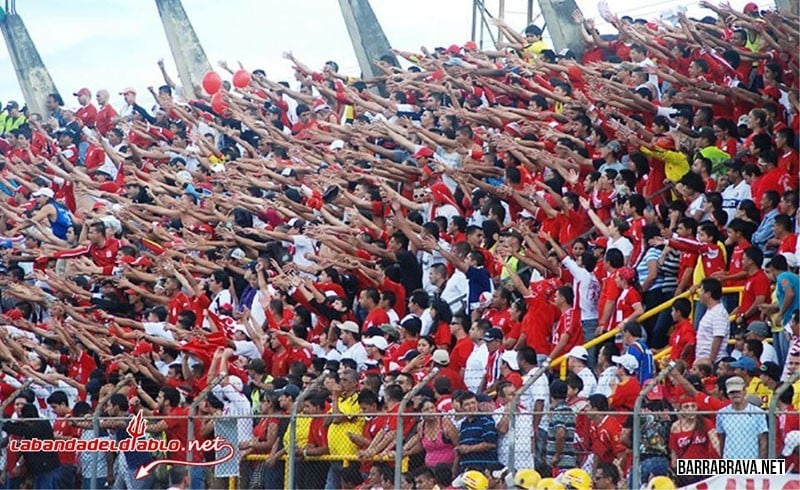 Baron Rojo Sur, ¿Hinchas o delincuentes?