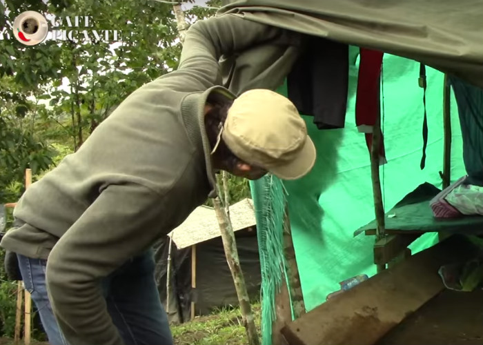 Video: Los hoteles cinco estrellas que el gobierno les dio a las Farc