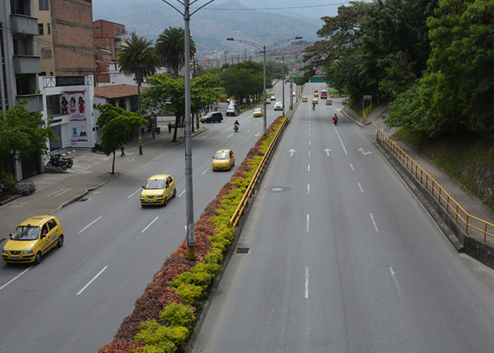 ¿Es el día sin carro la solución?