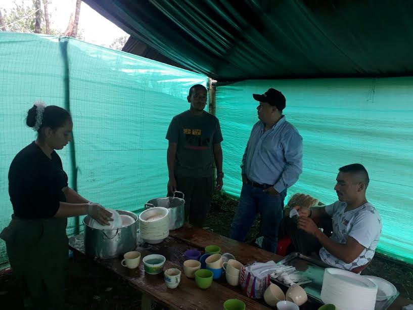 Los guerrilleros de las Farc son muchachos como usted, como yo