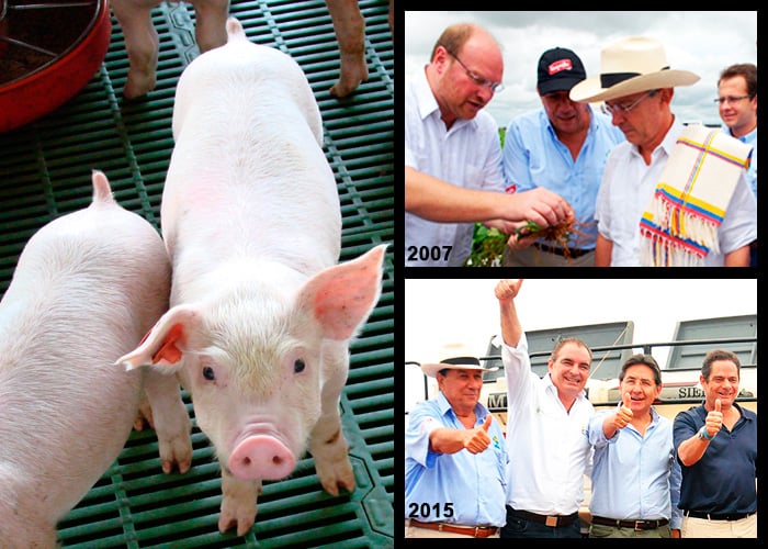 La Fazenda: el megacriadero de cerdos en los Llanos al que le apostaron Uribe y Santos