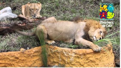  - Las tres del tintero