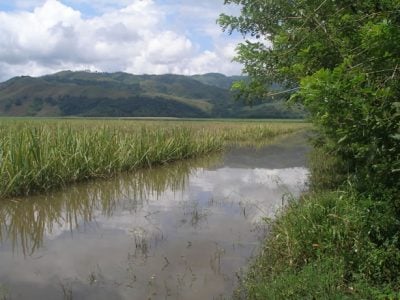  - Las tres del tintero