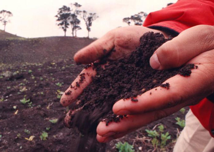 La maturranga santista contra la Reforma Rural Integral para la paz