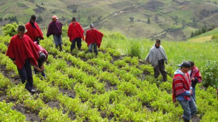 Otra vez una Ley mal presentada