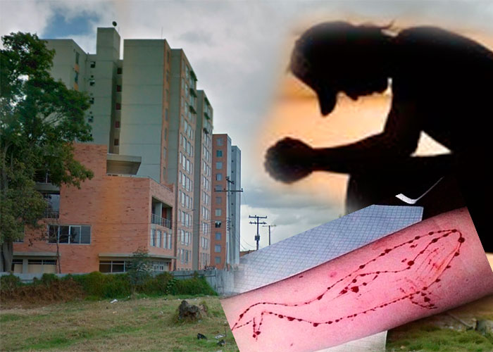 ¿Dos nuevos suicidios en Bogotá asociados a la ballena azul?
