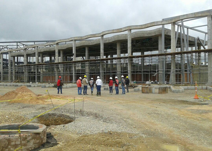 El elefante que no ve Carlos Amaya