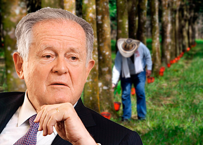 Las cuatro megahaciendas de Luis Carlos Sarmiento en el Llano