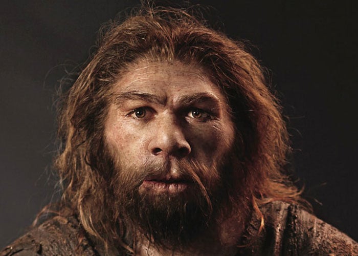 De dioses a animales