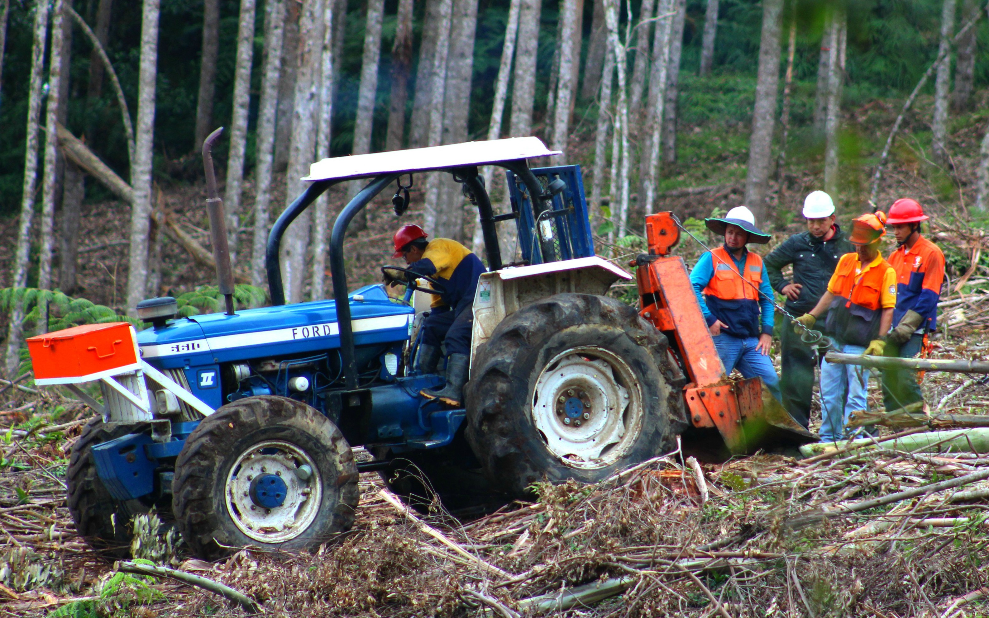 Desiertos verdes en Sevilla (Valle del Cauca)