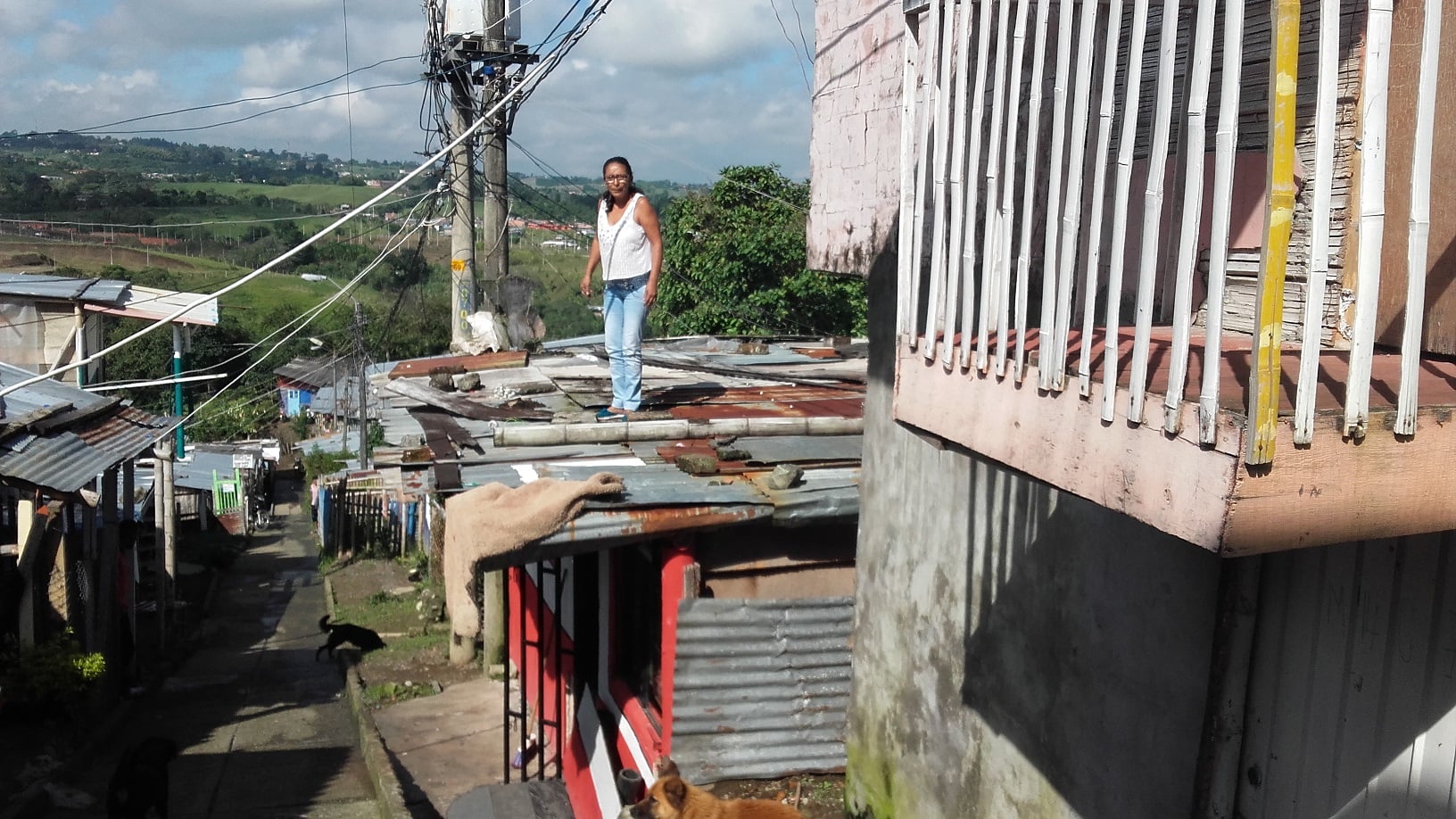 Barrio El Danubio de Pereira, 40 años en zona de riesgo