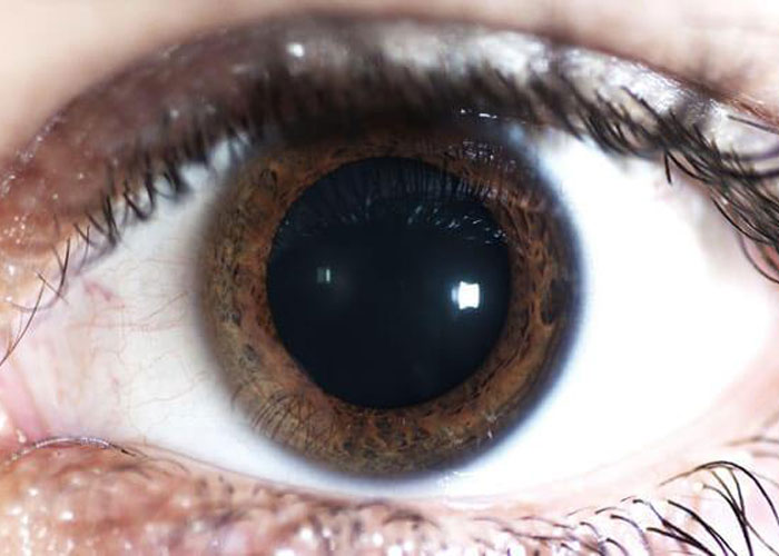 Crónica: La guerrera invisible