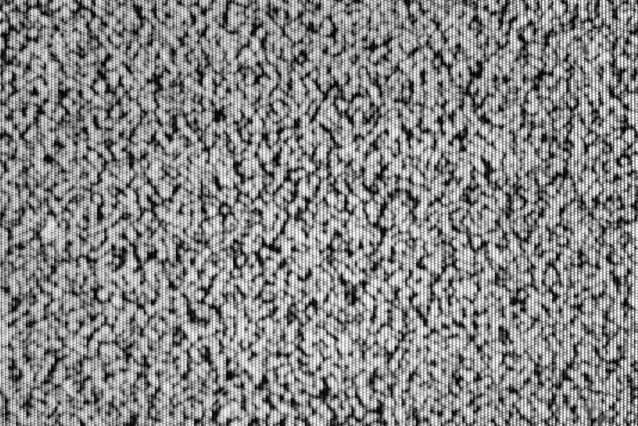 Somos una sociedad reproductora de imágenes