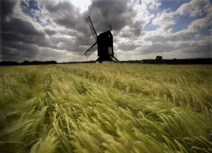 Hasta el viento tiene miedo