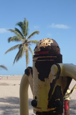  - Formas de corrupción y corrosión