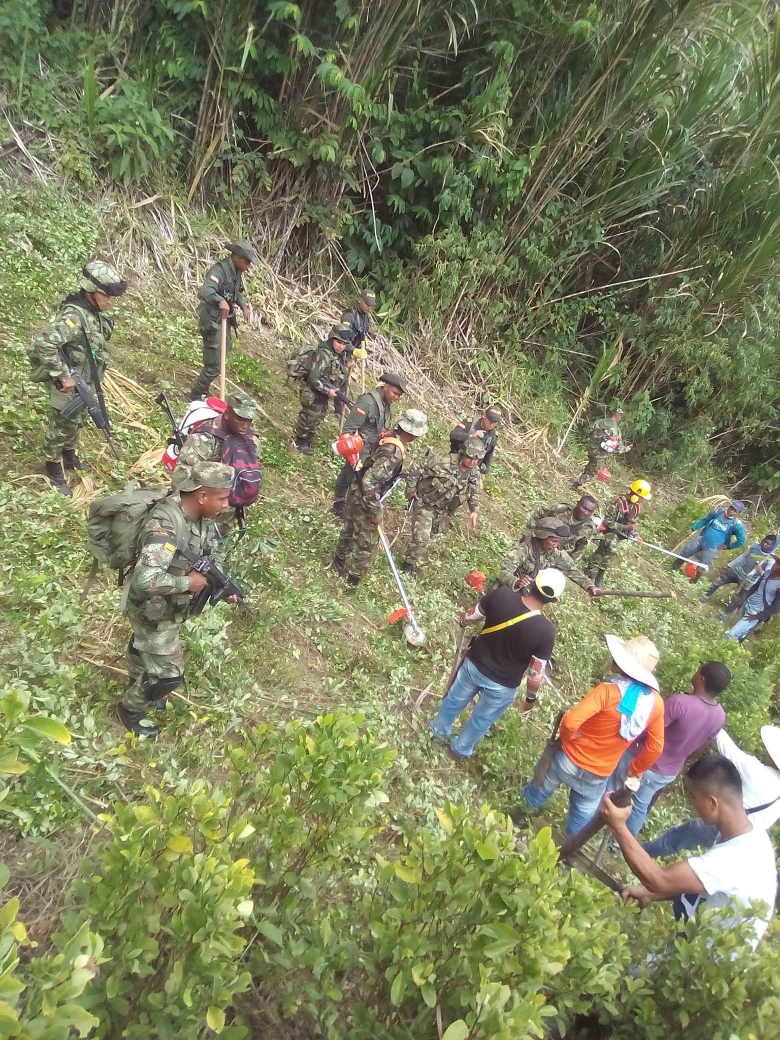 En Cajibío el gobierno continúa son su política de erradicación forzada