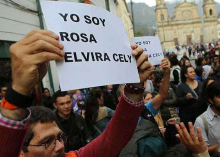 Dos años de la ley contra feminicidio Rosa Elvira Cely