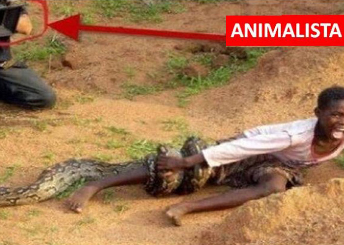 El futuro animalista