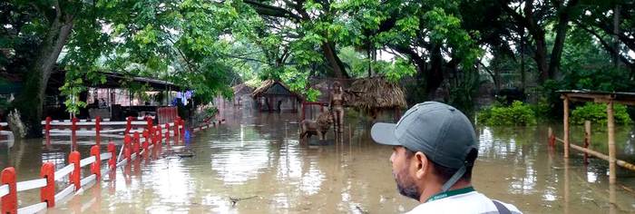  - La nueva vida de los animales rescatados a los narcos de Cali