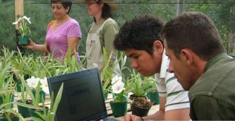 ¡Seamos más abejas...!