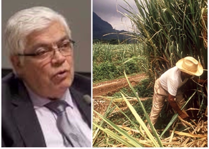 Miradas sesgadas sobre la agroindustria