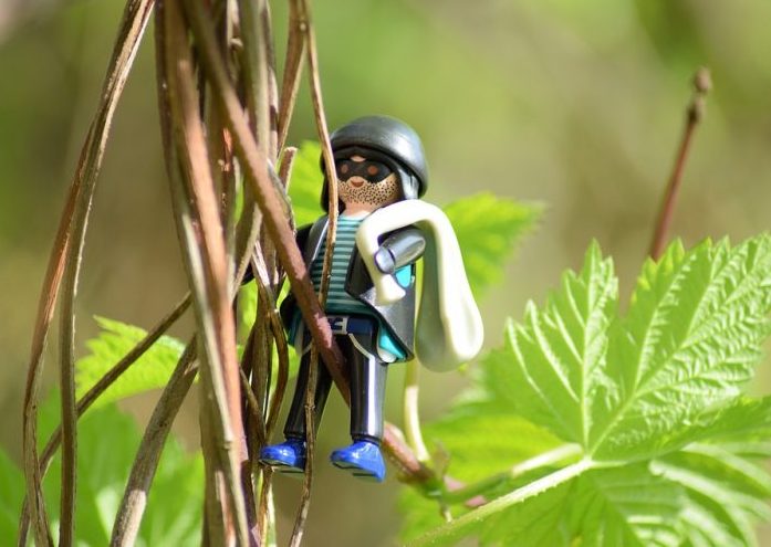 Corruptos somos todos, como guarros en la intimidad