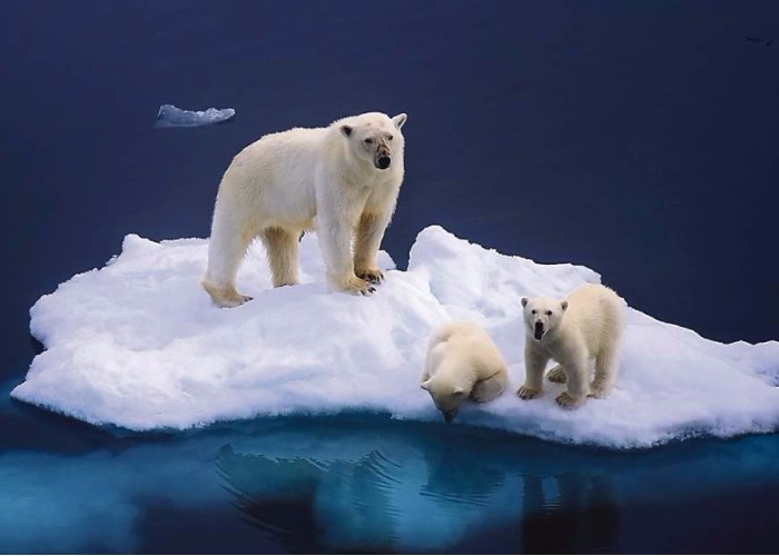 Ante la duda, la ficción