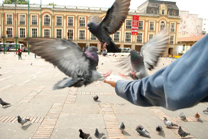 La solución es muy simple: ¡que renuncie!