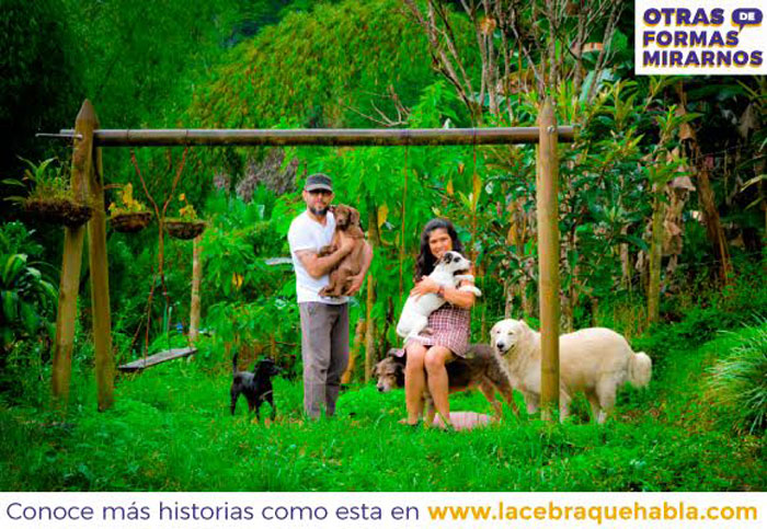 La animalista que lleva perros al cine