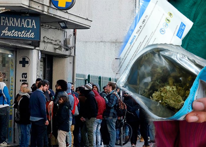 Video: Marihuaneros hacen fiesta en las farmacias de Uruguay