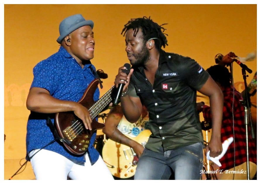 ¿Para qué sirve el Petronio?