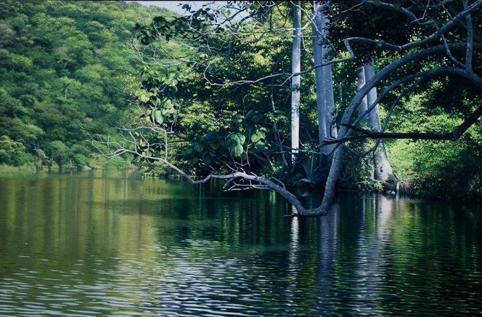  - Arte clásico y de vanguardia en Artmed