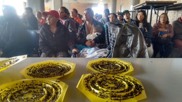  - Después de la plaga de moscas llegó el ESMAD a Ciudad Bolivar en Bogotá