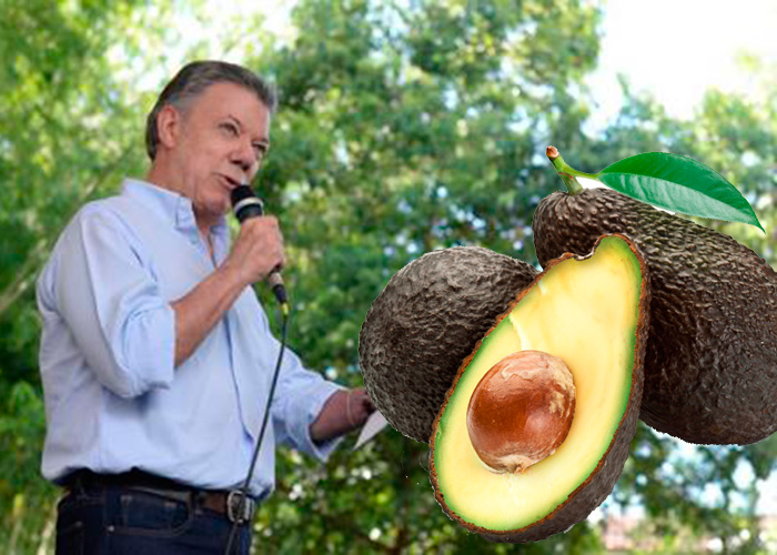 ¿De aguacates y turismo vivirá Colombia?