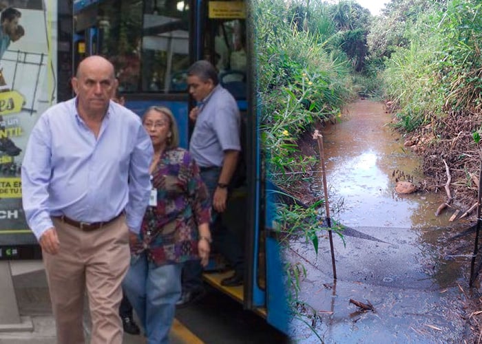 Cemento y buses, la orden del Alcalde de Cali para el humedal del Río Lili