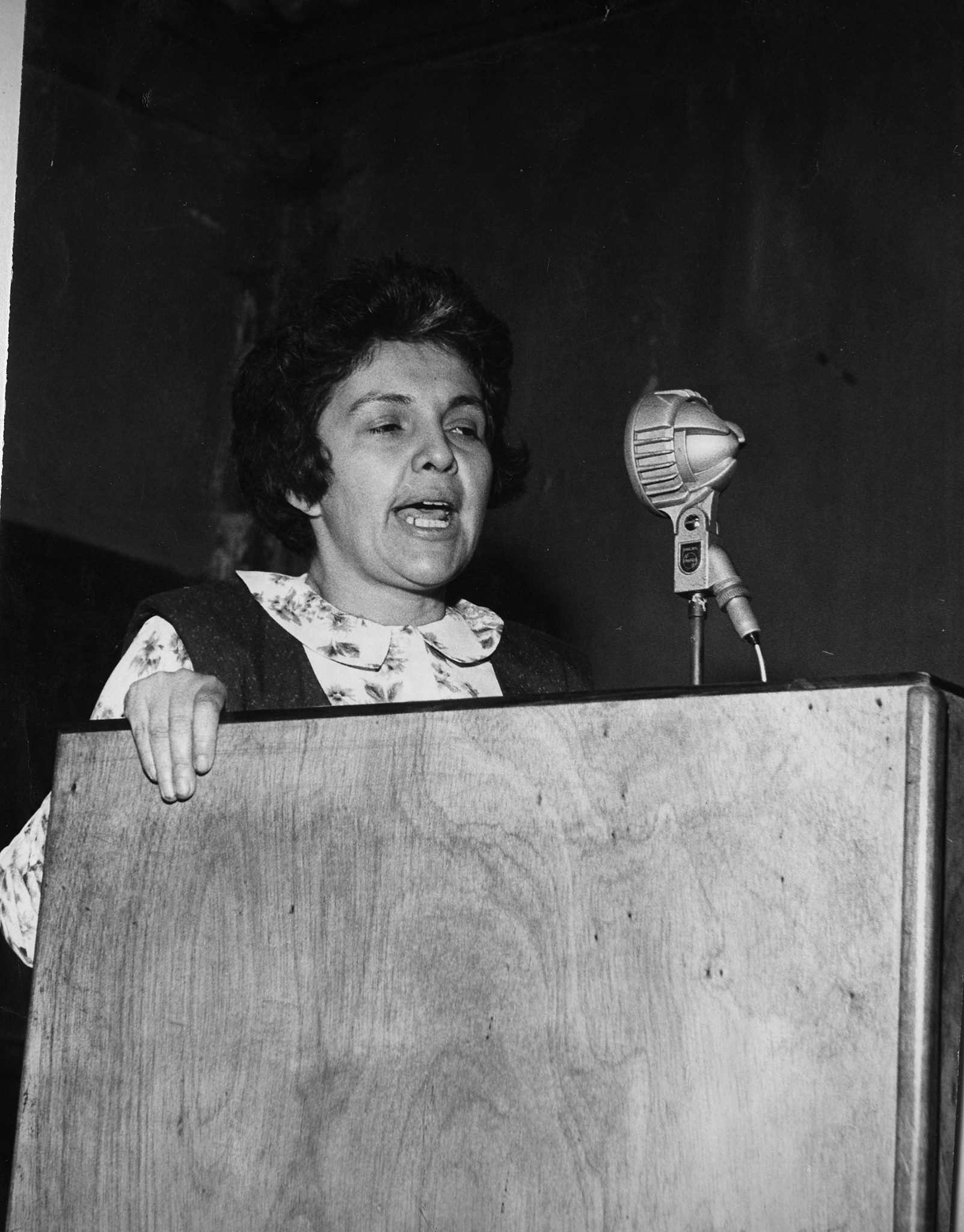 La última bolchevique: Celmira Cruz Oviedo (in memoriam).