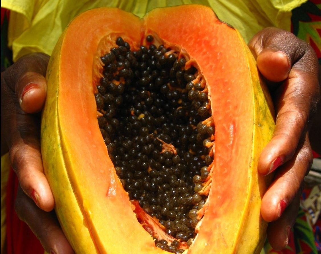 La papaya, el fruto de la corrupción colombiana