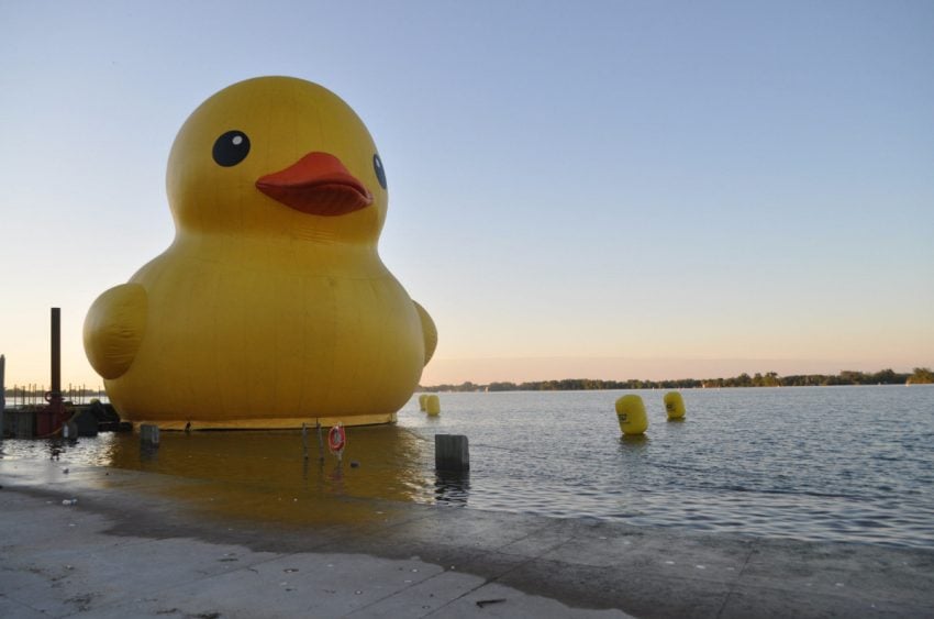 El polémico pato de hule en Canadá