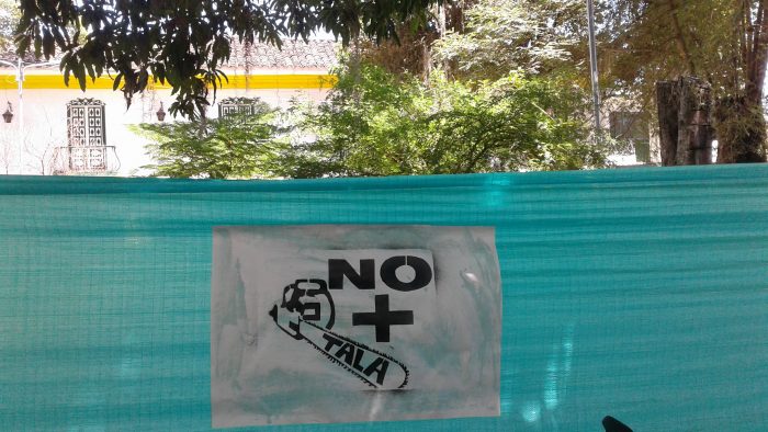  - Más árboles, menos corrupción