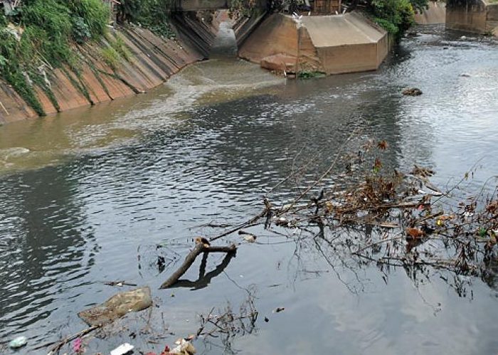 En Cali el medio ambiente no tiene quién lo proteja
